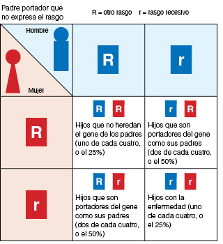 Ilustración genética donde se demuestra la herencia autosómica recesiva