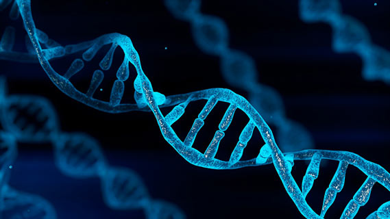 3D illustration of blue chromosome DNA